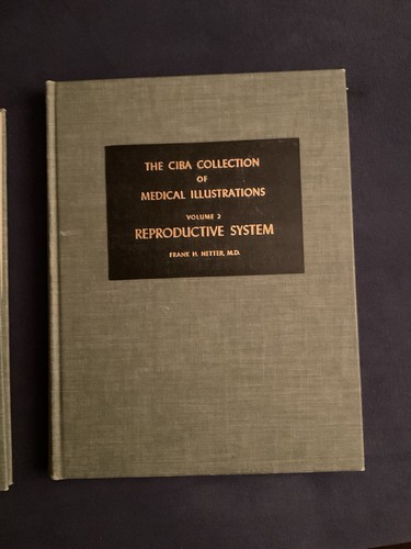 Netter atlas der anatomie - netter,