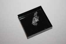 Silber gediegen Chihuahua