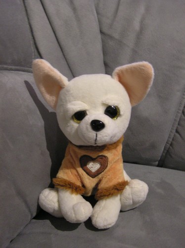 Plüschtier hund chihuahua - plüschtier, m