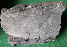 D1 Quellstein XXXL Naturstein Suiseki Pagodenstein Bonsai Brunnenstein