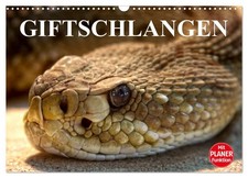 Giftschlangen (Wandkalender