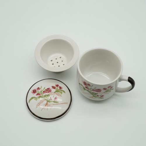 Teetasse mit sieb - teetasse, und