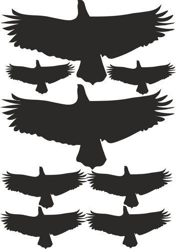 Satz vögel vogel - st,