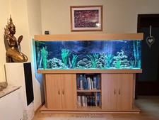 Großes 720L Aquarium