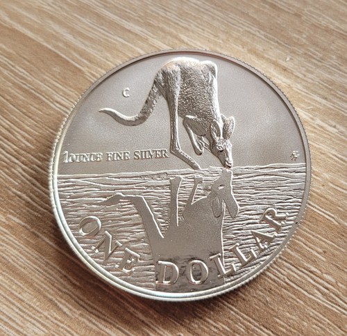 999 silbermünze 1 - 999, unze