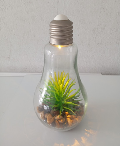 Terrarium glühbirnenform aus - terrarium,