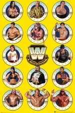 WWE WORLD WRESTLING