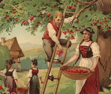 22/1220 ETIKETT  - ECHTES SCHWARZWÄLDER KIRSCHWASSER