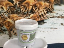 1,5 kg Honig direkt vom Imker - Waldhonig vom Schwarzwald eigene Imkerei