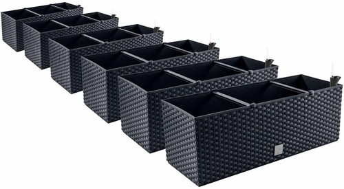 Pafen balkonkasten - 6x,