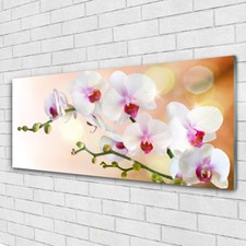 Glasbilder Wandbild Druck auf