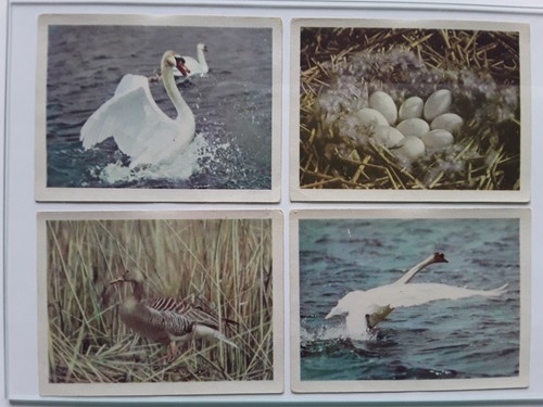 Stck ddr sammelbilder - 4, "