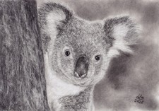Original kohlezeichnung koala - original,