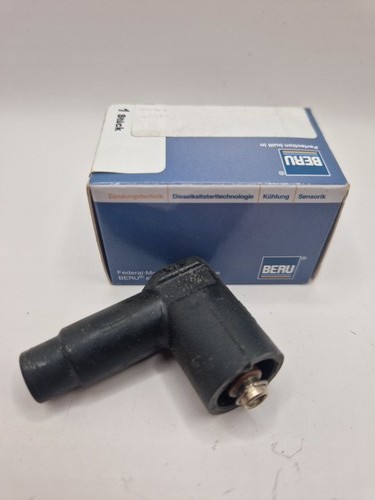 Beru 0300513119