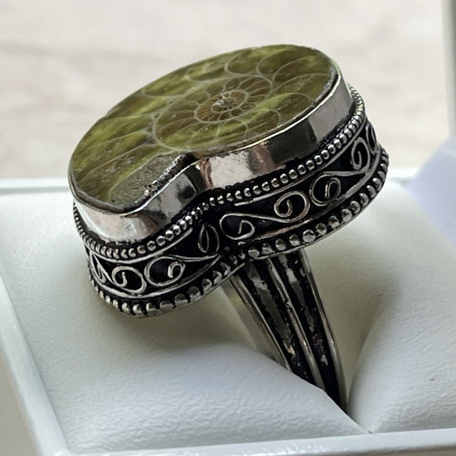 Ring mit ammonit fossil - ring,