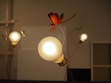 Ingo Maurer - I Rich Cleansing