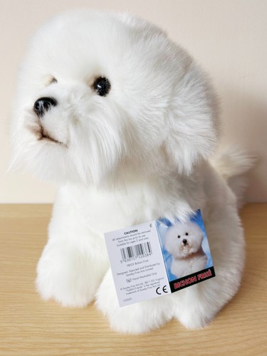 Bichon frise zoll - bichon, 12