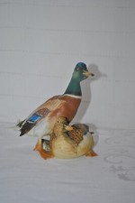 Ente Wildenten Entenpaar A. K