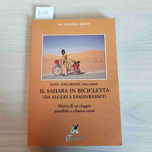 Die sahara fahrrad algiers - in,