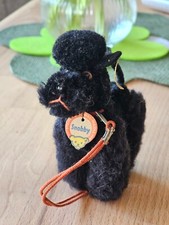 Steiff Pudel Snobby Black - 60 Jahre - Knopf im Ohr