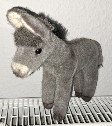 Kösen eselfohlen esel 3830 - kösen,