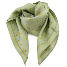 Damen Nickituch in Seide grün