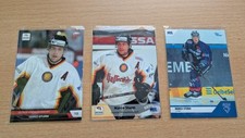 3 Marco Sturm Boston Bruins DEL Playercards