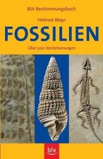 Fossilien über 500 - fossilien.,