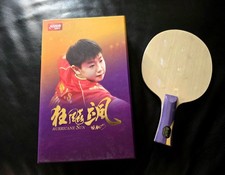 Original DHS Hurricane Sun