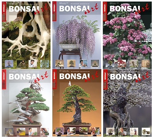Bonsai art jahrgang 2008 - -,