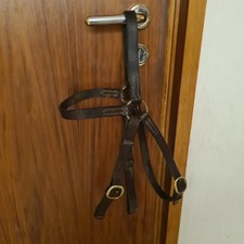 Australisches Kopfstück