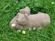 Schwein Schweine Paar liegend