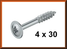 100 x Korpusschraube 4x30