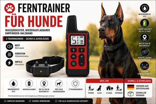 Hunde trainingshalsband - hunde,