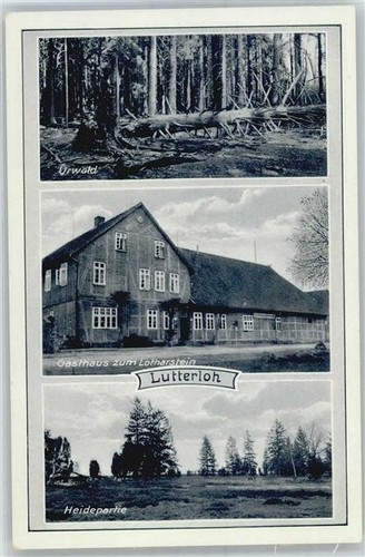 51415926 3104 lutterloh - 3104,