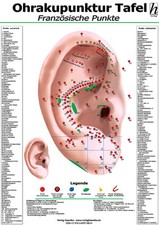 Ohrakupunktur Mini-Poster -