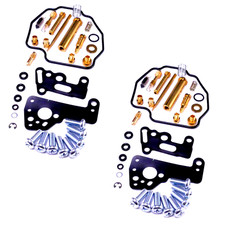 Vergaser Reparatursatz für