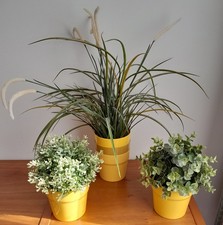 Drei Kunstpflanzen FEJKA: Oregano, Thymian, Lampenputzergras 5 Übertöpfe v Ikea