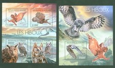 Burundi 2012 - Eulen Uhu Kauz Owls Hiboux - Schleiereule Kreischeule Chouette **