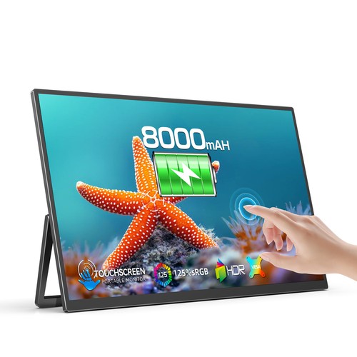 Touchscreen monitor - 15,6",