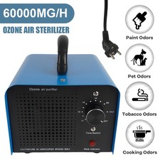 60g/h Ozonisator Ozongenerator