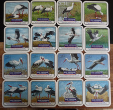 Bierdeckel  FLENSBURGER - MEHR