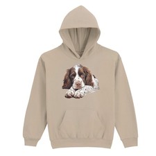 Springer Spaniel Hund Tier