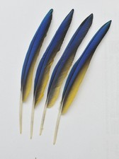 4 Stk .32 cm  rechts