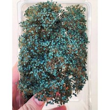 Busch wildgrün, Baumkrone mit Blättern, Modellbau & Eisenbahn Miniatur Begrünung