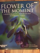 Flower of the Moment: A