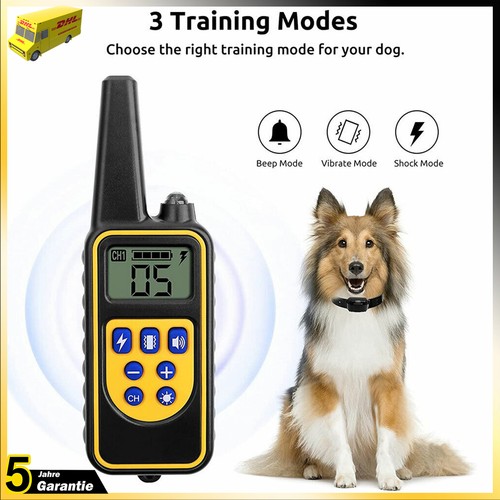 2025 elektroschock pet - elektroschock, dog