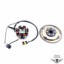 Lichtmaschine und Polrad für