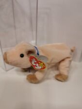 Beany babie Ty, Knuckles, Schwein mit Box, 1999, unbespielt, sehr guter Zustand