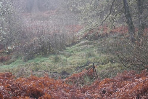 Foto 6x4 reste eines - reste,
